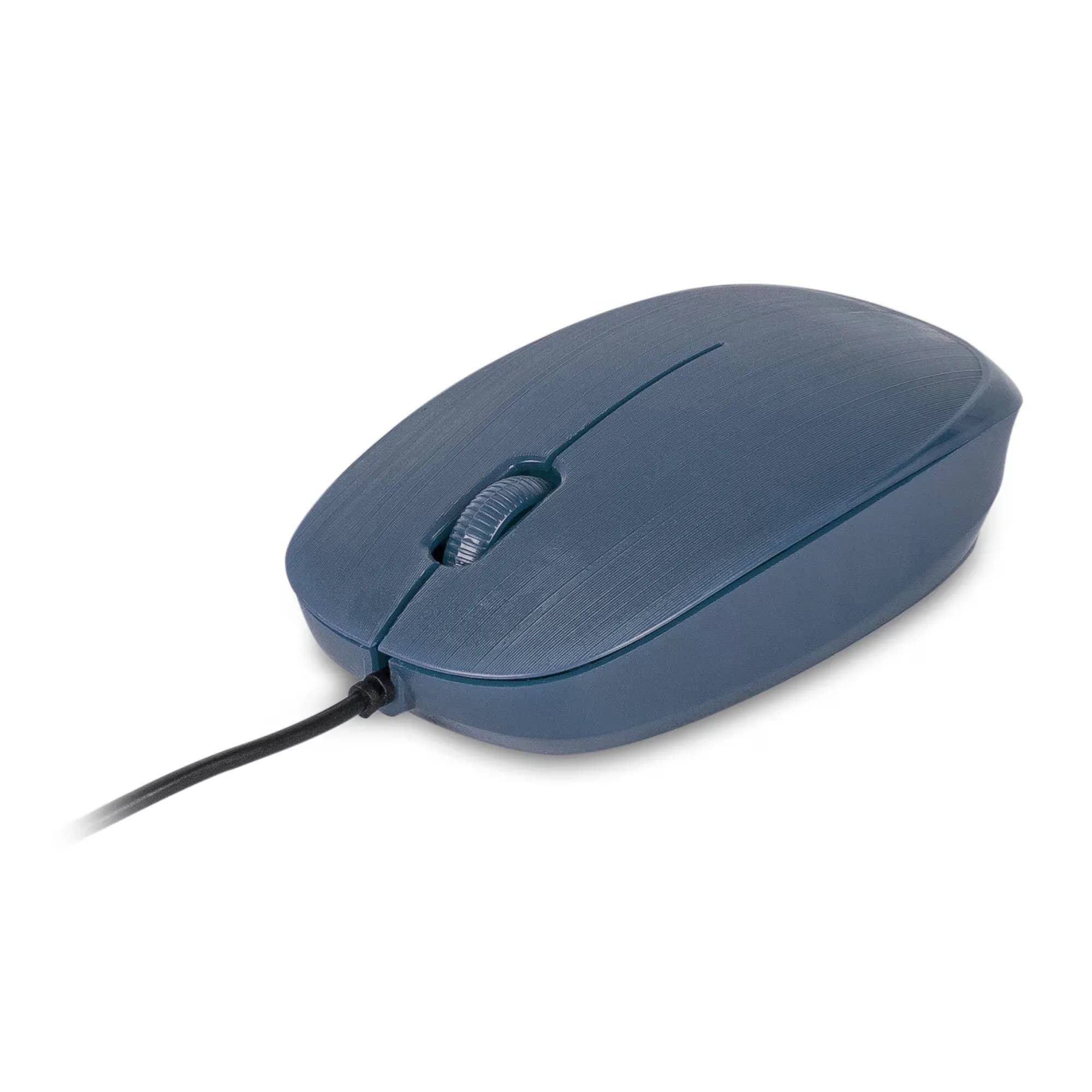 Mouse NGS FLAME-BLUE